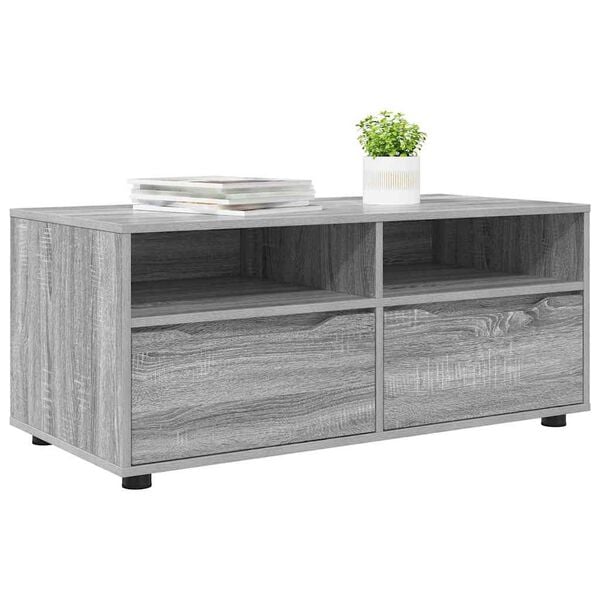 vidaXL Sj&oacute;nvarpssk&aacute;pur Gr&aacute;r Sonoma 100 x 48 x 43 cm Samsettur vi&eth;ur