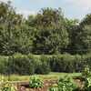 Sm&aacute;mynd af v&ouml;ru 2 af 6