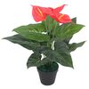 vidaXL Gerviplanta Flaming&oacute;bl&oacute;m me&eth; Bl&oacute;mapotti 45 cm Rau&eth; og Gul