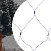 Sm&aacute;mynd af v&ouml;ru 2 af 9
