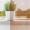 vidaXL Voile Gluggatjöld með Grommets 2 stk Terracotta