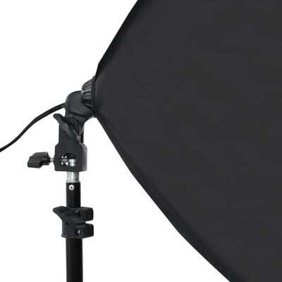 vidaXL Ljósmyndaverabúnaður með Softbox Ljósabúnaði og Bakgrunni