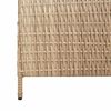 vidaXL Herbergaskiljari Drapplita&eth;ur 146 x 200 cm p&oacute;l&yacute;rattan