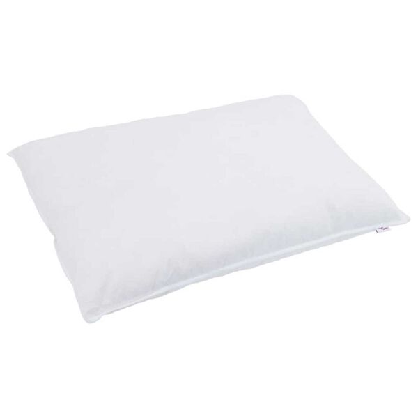 vidaXL Koddi með kodda 2 pcs Hvítt 30 x 50 cm Fjaðrir