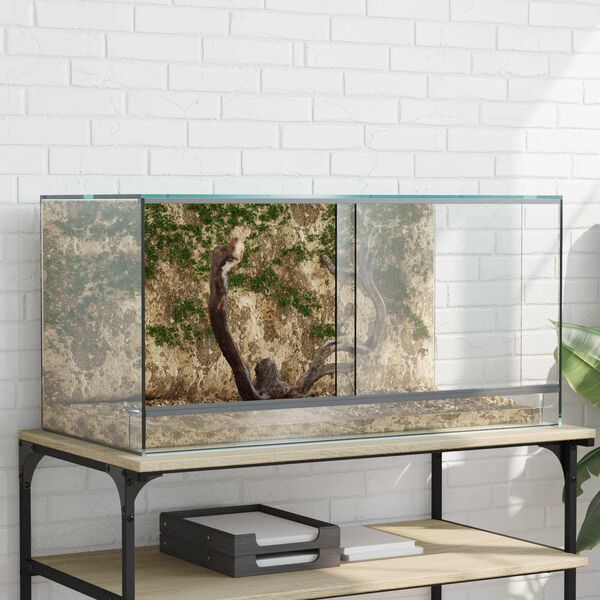 vidaXL Terrarium me&eth; geymslu Gegns&aelig;tt 80 x 40 x 40 cm glass