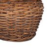 vidaXL Pl&ouml;ntuk&ouml;rfu me&eth; geymslu 2 pcs Br&uacute;nn Lacak rattan