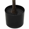 Sm&aacute;mynd af v&ouml;ru 3 af 5