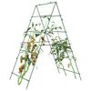 Sm&aacute;mynd af v&ouml;ru 2 af 10
