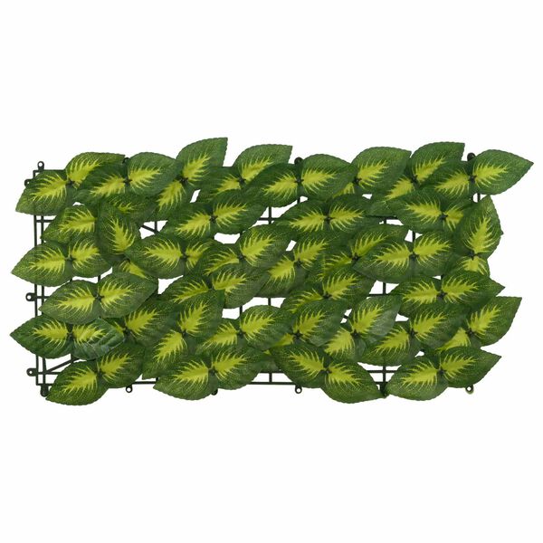 S&yacute;nir v&ouml;rumynd 3 af 6