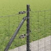 Sm&aacute;mynd af v&ouml;ru 5 af 17