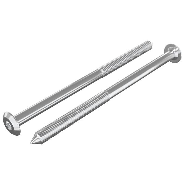 vidaXL H&uacute;sgagnaskr&uacute;fur 2 pcs Silfur M6 x 100 mm St&aacute;l