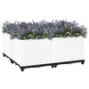 Sm&aacute;mynd af v&ouml;ru 2 af 7