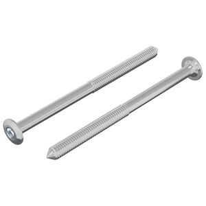 vidaXL Skr&uacute;fa 2 pcs Silfur M6 x 85 mm St&aacute;l