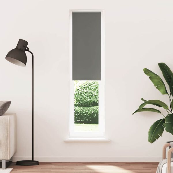 vidaXL R&uacute;llugard&iacute;nur Myrkvun gr&aacute;r 60x230 cm Efni Breidd 55,7 cm
