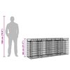 vidaXL Gabion h&aelig;kka&eth; r&uacute;m 2 pcs Silfur 200 x 50 x 80 cm