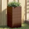 vidaXL Gr&oacute;&eth;urker Br&uacute;nt 2 stk 30x30x60 cm P&oacute;l&yacute;rattan