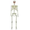 vidaXL Halloween Skeleton Hv&iacute;tt 155 x 38.5 cm Plast