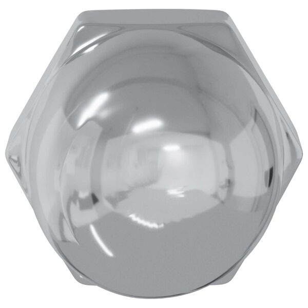 vidaXL Eikarn&ouml;t 2 pcs Silfur M6 x 10 mm J&aacute;rn