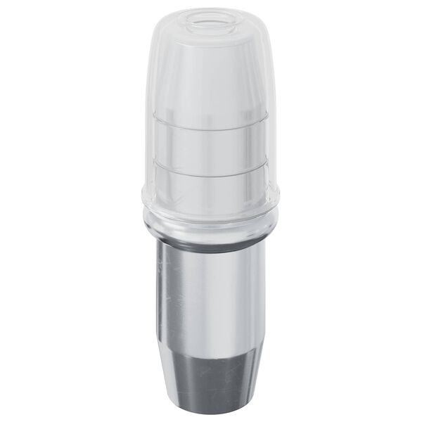 vidaXL Hillupinn 12 pcs Silfur 7 x 16 mm J&aacute;rn