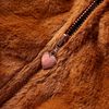 Sm&aacute;mynd af v&ouml;ru 4 af 7