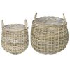 vidaXL Pl&ouml;ntuk&ouml;rfu me&eth; geymslu 2 pcs Gr&aacute;r Lacak Rattan