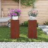 vidaXL Bl&oacute;mastandur 2 pcs Rusty 24 x 24 x 55 cm Ve&eth;ra&eth; st&aacute;l