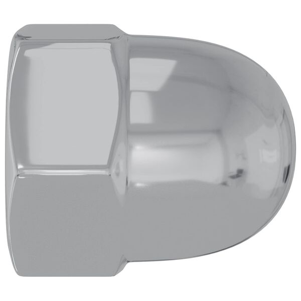 vidaXL Eikarn&ouml;t 2 pcs Silfur M6 x 10 mm J&aacute;rn