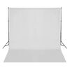 vidaXL Ljósmyndastúdíóbúnaður með Ljósasetti og Bakgrunni