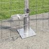 Sm&aacute;mynd af v&ouml;ru 3 af 11