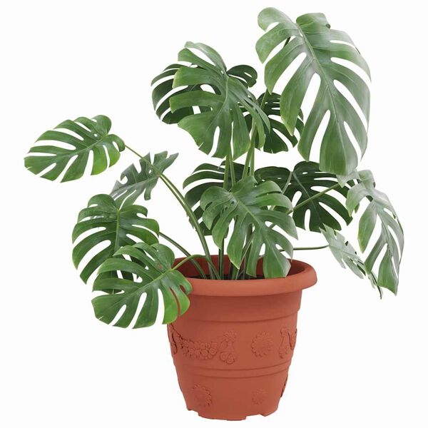 S&yacute;nir v&ouml;rumynd 3 af 9