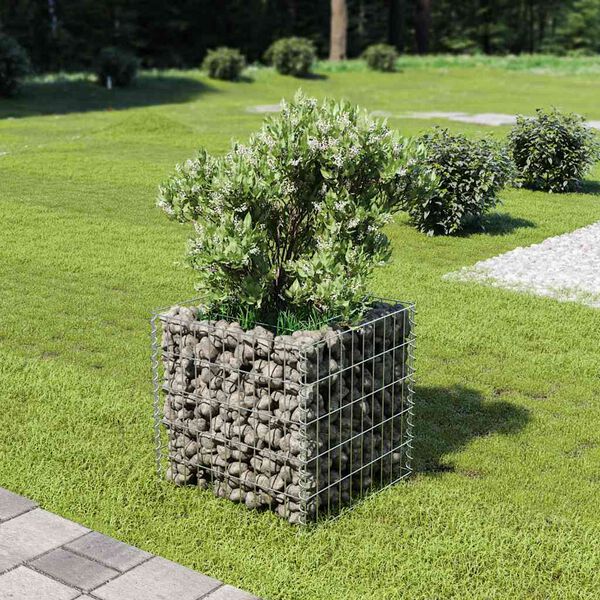 vidaXL Gabion Grj&oacute;tkassi Upph&aelig;kka&eth; Bl&oacute;maker S&iacute;nkh&uacute;&eth;a&eth; st&aacute;l 50x50x50 cm