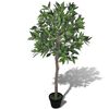 Gerviplanta L&aacute;rvi&eth;artr&eacute; &iacute; Potti 120 cm