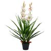 vidaXL Gerviplanta Ork&iacute;dea &iacute; Bl&oacute;mapotti 100 cm Gr&aelig;n