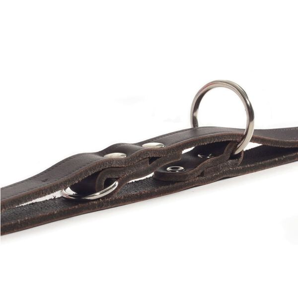 Beeztees &AElig;fingataumur Le&eth;ur Br&uacute;nn 200x1,2 cm 736401