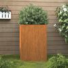 vidaXL Gr&oacute;&eth;urker 52x48x75 cm Corten St&aacute;l