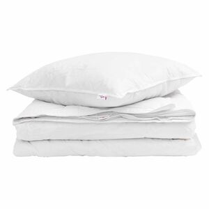 vidaXL 2-in-1 Duvet me&eth; kodda 2 pcs Hv&iacute;tt D&uacute;nfja&eth;rir
