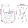 vidaXL Folding bistro sett 3 pcs Antras&iacute;t St&aacute;l