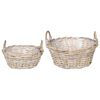 vidaXL Pl&ouml;ntuk&ouml;rfu me&eth; geymslu 2 pcs Gr&aacute;r Lacak rattan