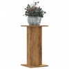 Oak