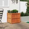 Sm&aacute;mynd af v&ouml;ru 3 af 11