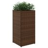 vidaXL Gr&oacute;&eth;urker Br&uacute;nt 2 stk 30x30x60 cm P&oacute;l&yacute;rattan