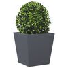 Sm&aacute;mynd af v&ouml;ru 3 af 10