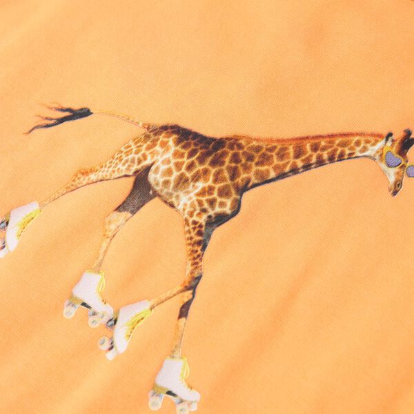 Krakkabolur Sk&aelig;rappels&iacute;nugulur 104