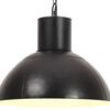 vidaXL Loftlj&oacute;s 25 W Svart Hringlaga 48 cm E27