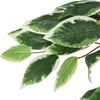 Sm&aacute;mynd af v&ouml;ru 3 af 5