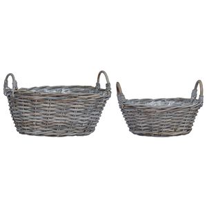 vidaXL Pl&ouml;ntuk&ouml;rfu me&eth; geymslu 2 pcs Gr&aacute;r Lacak rattan