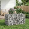 vidaXL Gabion h&aelig;kka&eth; r&uacute;m Silfur 100 x 60 x 55 cm Galvaniserad st&aacute;l