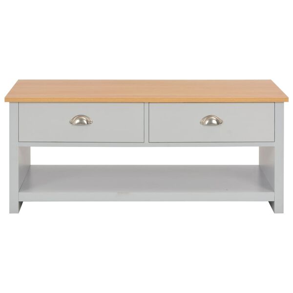 283738 vidaXL Coffee Table Grey 100x50x42 cm