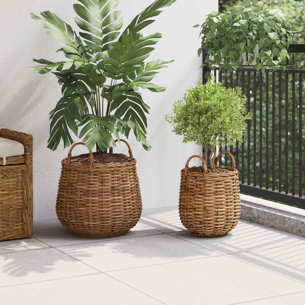 vidaXL Pl&ouml;ntuk&ouml;rfu me&eth; geymslu 2 pcs Br&uacute;nn Lacak Rattan