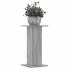 vidaXL Pl&ouml;ntustandar 2 stk Gr&aacute;r Sonoma 30x30x60 cm Samsettur Vi&eth;ur